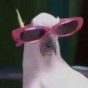 Meet your Posher, Kylie